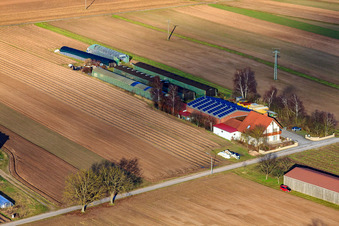 Resettlement farms on Mühlweg in Hördt in the state Rhineland-Palatinate, Germany