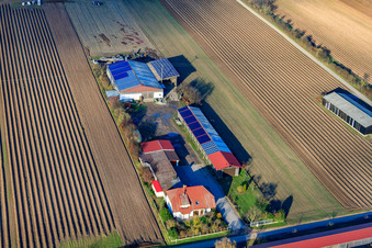 Alois Böhm Hofladem on Mühlweg in Hördt in the state Rhineland-Palatinate, Germany