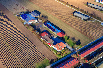 Aerial photograpy of Alois Böhm Hofladem on Mühlweg in Hördt in the state Rhineland-Palatinate, Germany