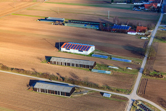 Oblique view of Resettlement farms on Mühlweg in Hördt in the state Rhineland-Palatinate, Germany