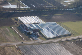 Organic gardening/shop in Herxheim bei Landau in the state Rhineland-Palatinate, Germany