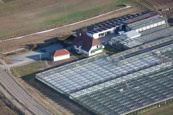Aerial view of Organic gardening/shop in Herxheim bei Landau in the state Rhineland-Palatinate, Germany