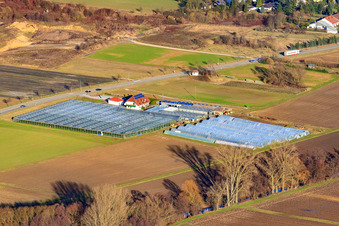 Oblique view of Organic gardening/shop in Herxheim bei Landau in the state Rhineland-Palatinate, Germany