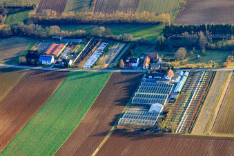 Bird's eye view of Nursery in Vollmersweiler in the state Rhineland-Palatinate, Germany