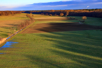 Meadows in the Otterbach lowlands in the district Schaidt in Wörth am Rhein in the state Rhineland-Palatinate, Germany