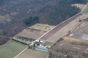 Nursery at Erlenbach in Erlenbach bei Kandel in the state Rhineland-Palatinate, Germany