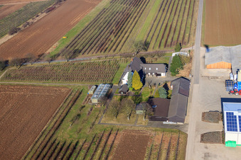 Farmer's Garden in Winden in the state Rhineland-Palatinate, Germany from the drone perspective