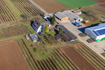 Farmer's Garden in Winden in the state Rhineland-Palatinate, Germany from a drone