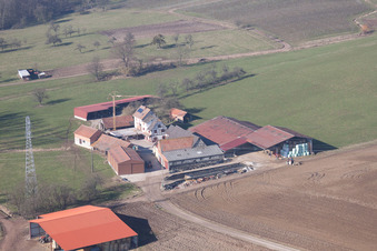 Riedseltz in the state Bas-Rhin, France from above