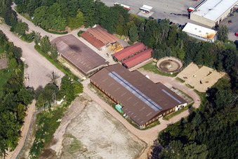 Racing and Riding Club eV in Herxheim bei Landau in the state Rhineland-Palatinate, Germany