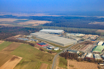 Horst industrial estate, 3rd construction phase for STS Group in the district Minderslachen in Kandel in the state Rhineland-Palatinate, Germany from a drone