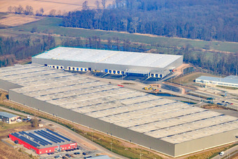 Horst industrial estate, 3rd construction phase for STS Group in the district Minderslachen in Kandel in the state Rhineland-Palatinate, Germany seen from a drone