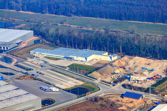 Thermo Fisher in the district Minderslachen in Kandel in the state Rhineland-Palatinate, Germany