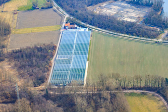 Nursery in the district Sondernheim in Germersheim in the state Rhineland-Palatinate, Germany