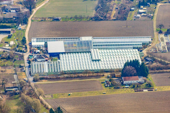 Nursery on Ziegelstr in the district Sondernheim in Germersheim in the state Rhineland-Palatinate, Germany from above