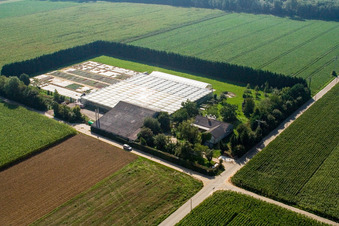 Sudetenhof in Steinweiler in the state Rhineland-Palatinate, Germany out of the air