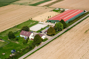 Fohlenhof horse farm in Steinweiler in the state Rhineland-Palatinate, Germany