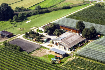 Aerial view of Lindenhof: Gensheimer fruit and asparagus farm in Steinweiler in the state Rhineland-Palatinate, Germany