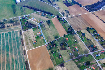 Aerial view of Garden plots and vineyard festival grounds at Wilfenberg in the district Großvillars in Oberderdingen in the state Baden-Wuerttemberg, Germany