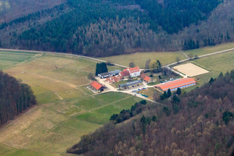 Erdbeerhof Estate in Gondelsheim in the state Baden-Wuerttemberg, Germany