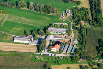 Bienwald Nursery in Berg in the state Rhineland-Palatinate, Germany from above
