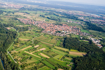 Aerial view of Au am Rhein in the state Baden-Wuerttemberg, Germany