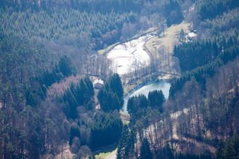 Fishpond on the Neubach in Bitche in the state Moselle, France