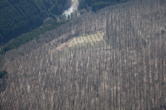 Aerial photograpy of Petit-Réderching in the state Moselle, France