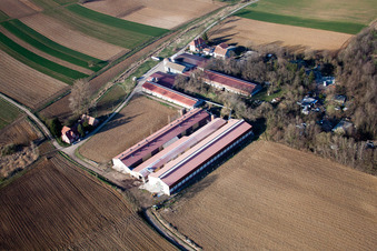 Merkwiller-Pechelbronn in the state Bas-Rhin, France from the drone perspective