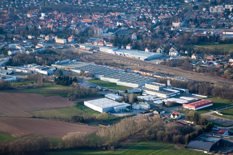 Wolf Tools in the district Altenstadt in Wissembourg in the state Bas-Rhin, France