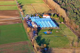 Oblique view of Cactus Land Steinfeld in Steinfeld in the state Rhineland-Palatinate, Germany