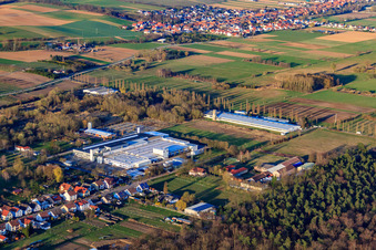 Industrial area with Webasto Mechatronics and ConFas GmbH in the district Schaidt in Wörth am Rhein in the state Rhineland-Palatinate, Germany