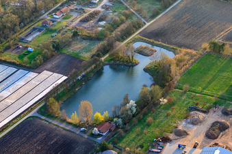 Pond of the Herxheim Sports Fishing Association in Herxheim bei Landau in the state Rhineland-Palatinate, Germany
