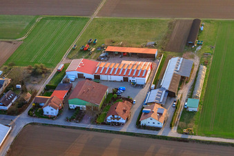 Aerial view of Matthias Knecht Agricultural Business in Herxheim bei Landau in the state Rhineland-Palatinate, Germany