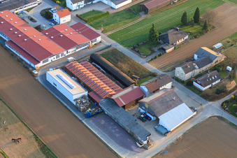 Aerial view of Christoph's farm shop and farms on the Alzheimer's Way in Herxheim bei Landau in the state Rhineland-Palatinate, Germany