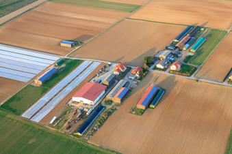 Aerial view of Farmer Kerner Andreas in Am Wingertsberg in Herxheim bei Landau in the state Rhineland-Palatinate, Germany
