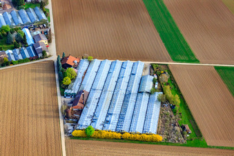 Appich Nursery in Kleines Feldle in Möglingen in the state Baden-Wuerttemberg, Germany