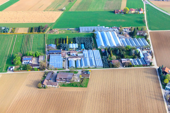 Aerial photograpy of Appich Nursery in Kleines Feldle in Möglingen in the state Baden-Wuerttemberg, Germany