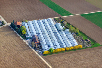 Oblique view of Appich Nursery in Kleines Feldle in Möglingen in the state Baden-Wuerttemberg, Germany
