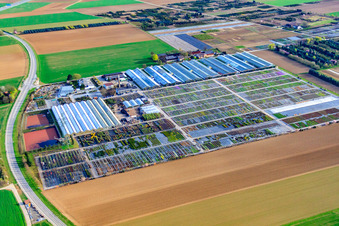 Aerial photograpy of Häussermann Perennials + Woody Plants, In the Cornfield in Möglingen in the state Baden-Wuerttemberg, Germany