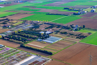 Schillinger H.-J. and S. Nursery and Blum Horse Farm, Im Kornfeld in Möglingen in the state Baden-Wuerttemberg, Germany