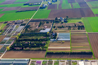 Aerial photograpy of Schillinger H.-J. and S. Nursery, Im Kornfeld in Möglingen in the state Baden-Wuerttemberg, Germany