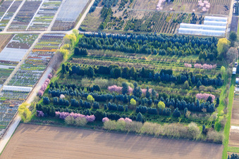 Schillinger H.-J. and S. Nursery, Gröninger Weg in Möglingen in the state Baden-Wuerttemberg, Germany