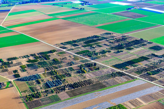 Aerial view of Schillinger H.-J. and S. Nursery, Gröninger Weg in Möglingen in the state Baden-Wuerttemberg, Germany