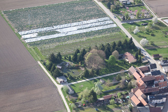 Oblique view of Ornamental garden in Erlenbach bei Kandel in the state Rhineland-Palatinate, Germany