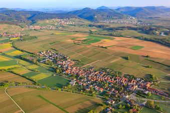 Dor view from the southeast in Niederhorbach in the state Rhineland-Palatinate, Germany