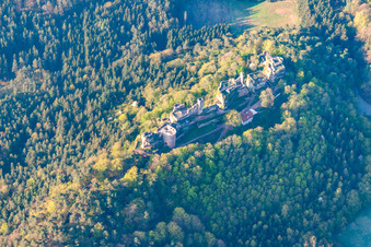 Altdahn Castle at Dahn in Dahn in the state Rhineland-Palatinate, Germany