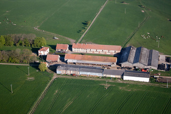 Aerial view of Rimling in the state Moselle, France