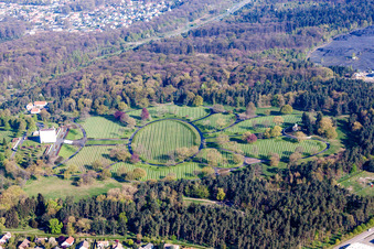 Grave rows on the grounds of the American, military cemetery of Saint-Avold in Saint-Avold in Grand Est, France