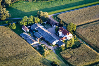 Hofgut Ludwigsau am Rhein in the district Maximiliansau in Wörth am Rhein in the state Rhineland-Palatinate, Germany
